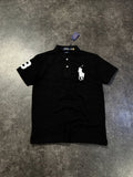 Pull Big Polo